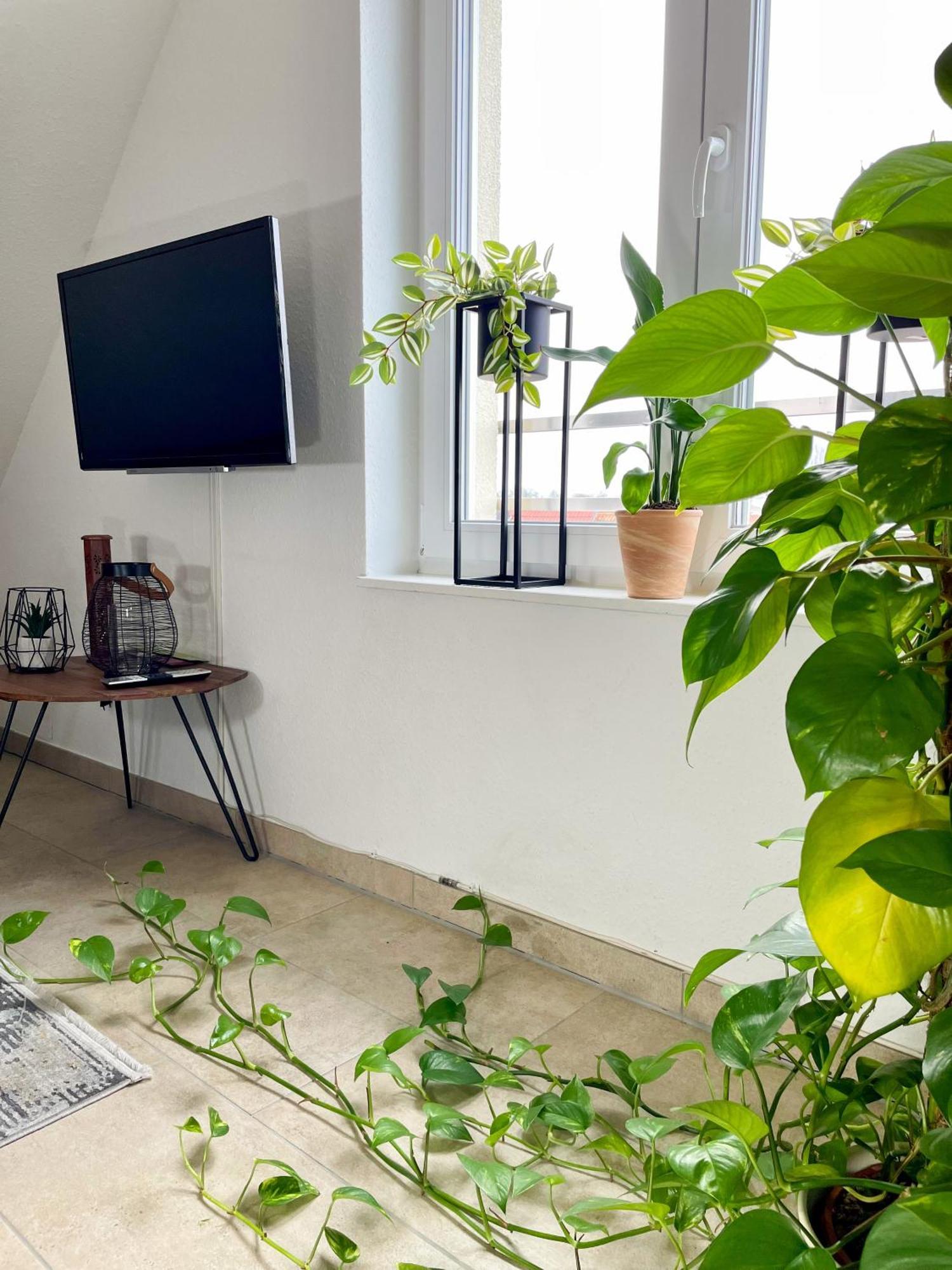 Ahaus: Stadtoase Mit Terrasse & Privater Garage 외부 사진