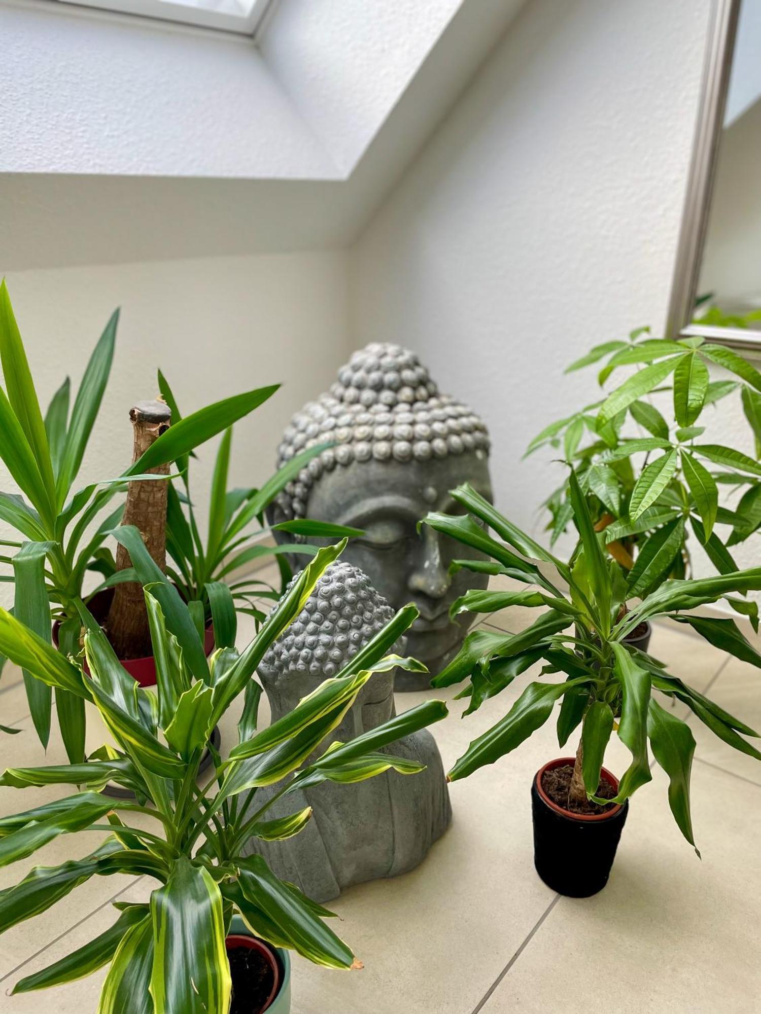 Ahaus: Stadtoase Mit Terrasse & Privater Garage 외부 사진